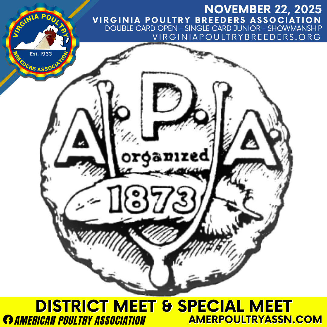 American Poultry Association